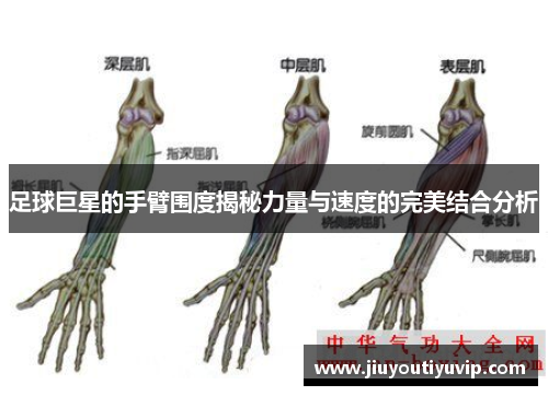 足球巨星的手臂围度揭秘力量与速度的完美结合分析